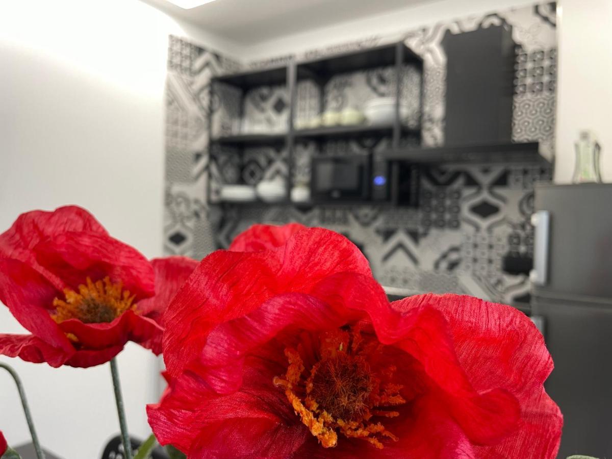 La Casa Di Brando - Bilocale 1 Ancona Apartment Camerano Ngoại thất bức ảnh